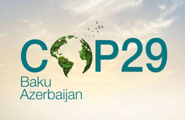Three Key Advancements Made at COP29