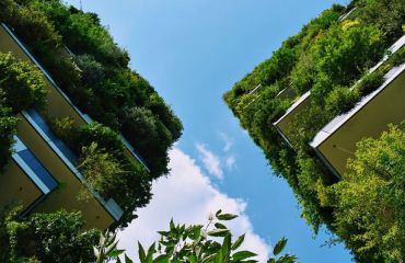 Urban forests might play a key role in the fight against climate change