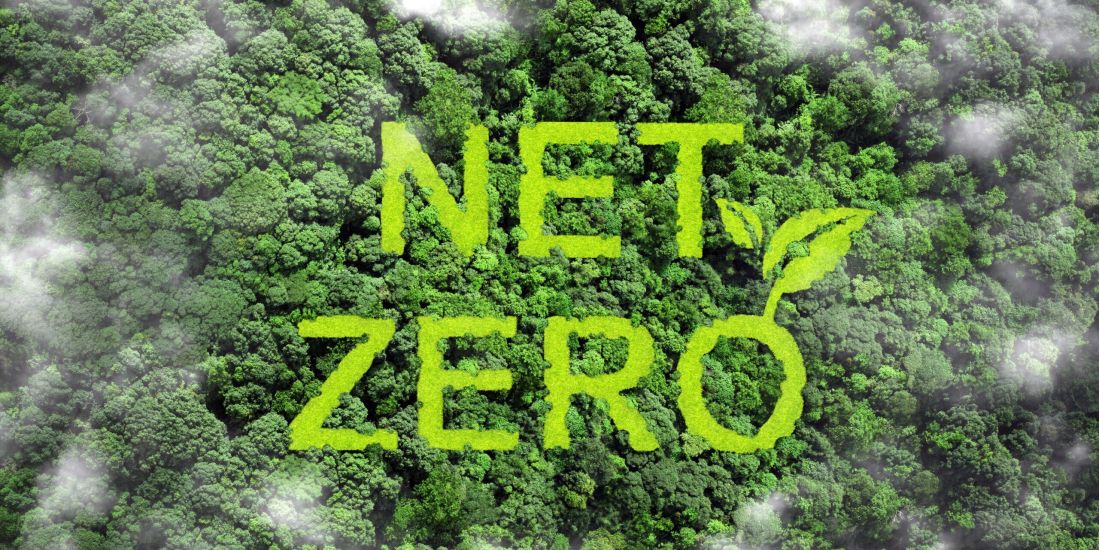 How to achieve net zero in your organisation